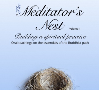 Meditators Nest vol 1 cover_square
